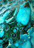 Addicted to Blue III