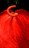 Red Heart 3